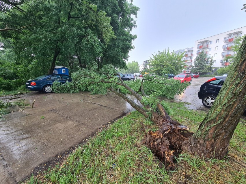 Burze przechodzą na Kujawsko-Pomorskiem. W Toruniu powalone...