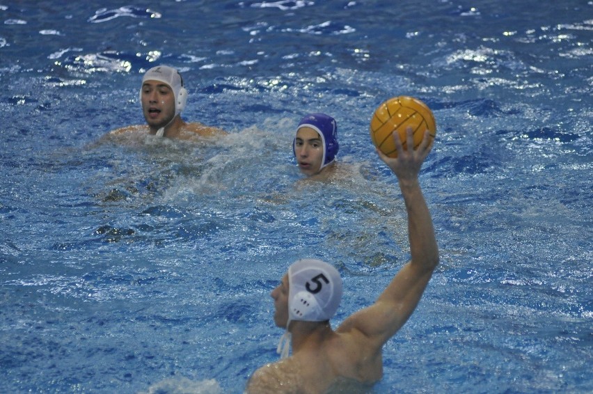 Waterpolo Poznań zremisowało 12:12 z Honvedem Budapeszt