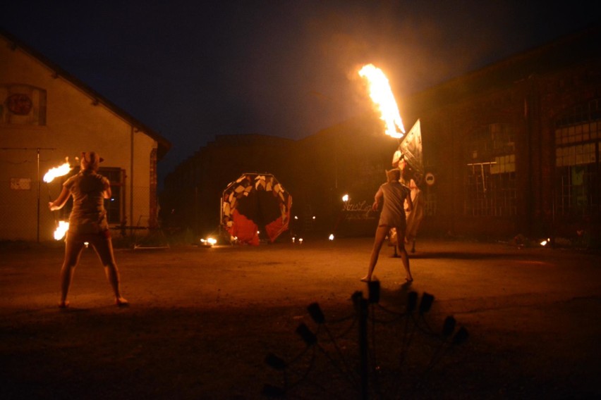 Dębowy Maj Festiwal trwa w Dąbrowie Górniczej