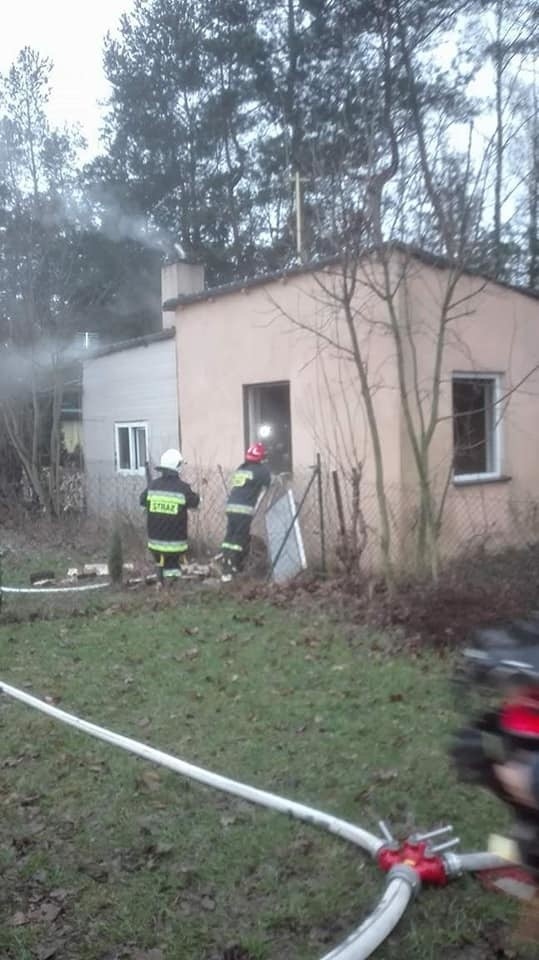 Brzezińscy strażacy uratowali z pożaru kota! Podali mu tlen przez maskę! [zdjęcia]