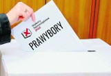 Plebiscyt „Nowości”: ostatnia szansa na wskazanie wyborczych faworytów