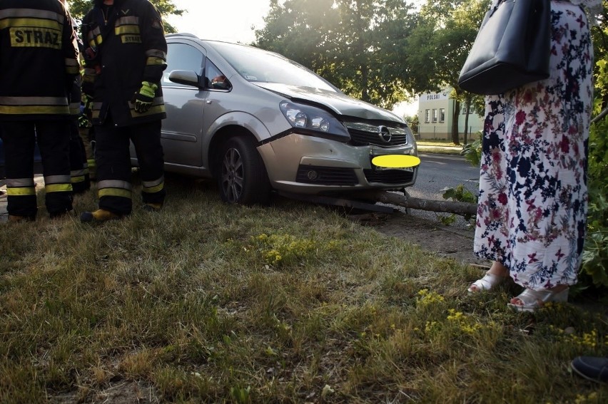 Kolizja na ul. Gdańskiej. Przecieli drzewka [zdjęcia, wideo]