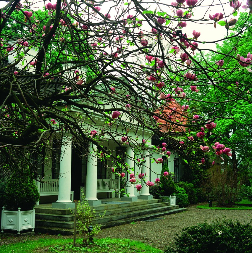 Zdjęcia dworu, parku i arboretum w Lusławicach użyczone...