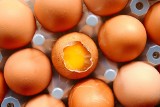 GIS: Do Polski trafiły jajka z Holandii. Prawdopodobnie są skażone