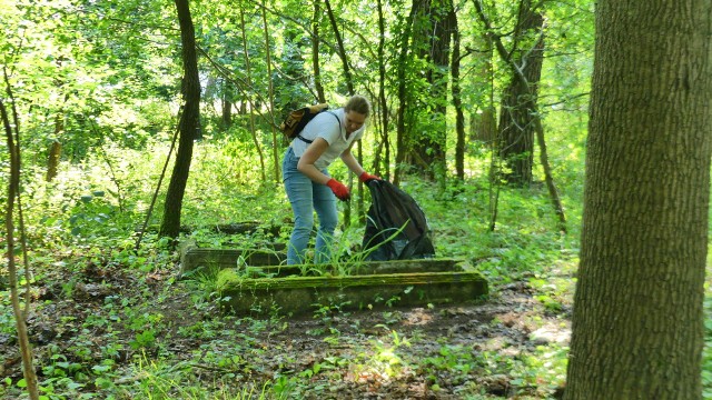 W ramach projektu "Memento Oblitus - na ratunek opuszczonym cmentarzom" grupa bydgoszczan uporządkowała teren dwóch zapomnianych cmentarzy mieszczących się na wylocie z Bydgoszczy w stronę Sicienka.