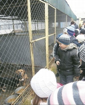 Dzieci w kołobrzeskim schronisku dla zwierząt.