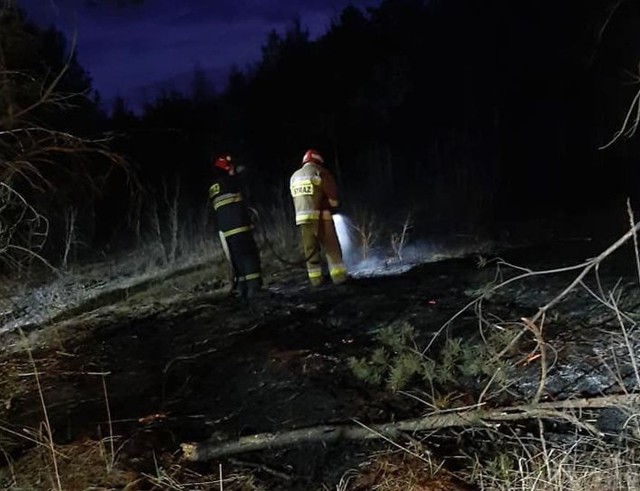 Pożar rozprzestrzeniał sie na obszarze 1 hektara.