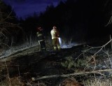 Groźne pożary poszycia leśnego i nieużytków w regionie radomskim