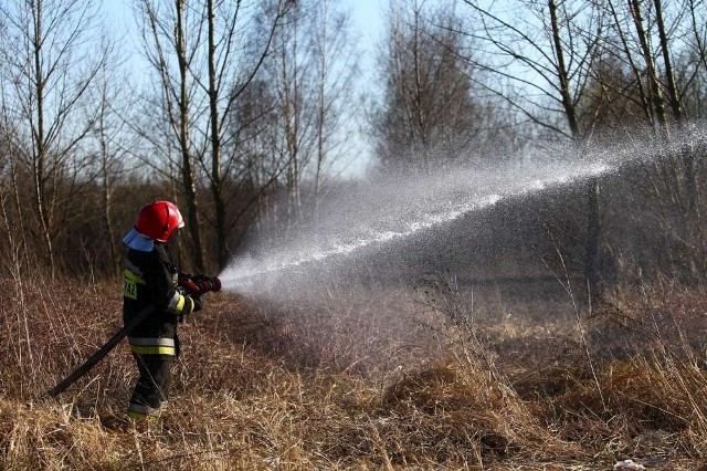 Pożar traw na Ratajach. Ogień gasiły dwa zastępy strażaków