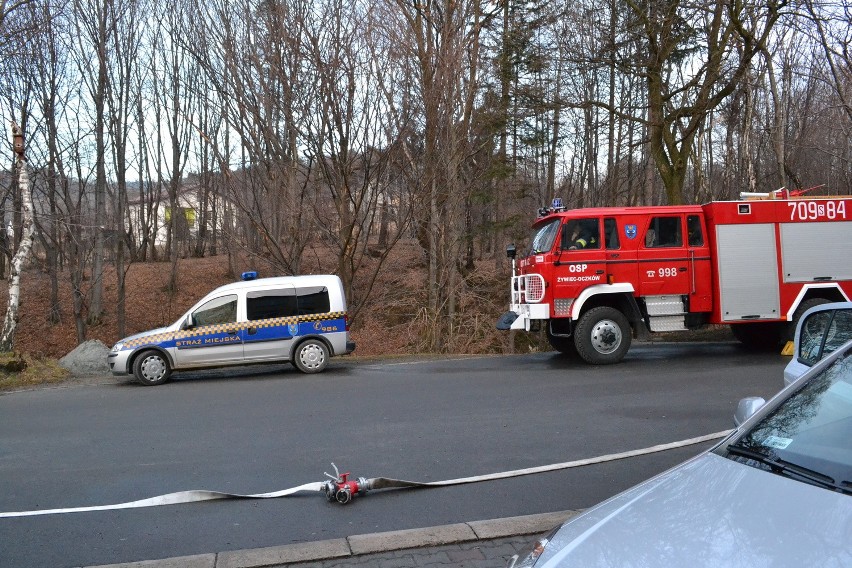 Alarm bombowy Żywiec