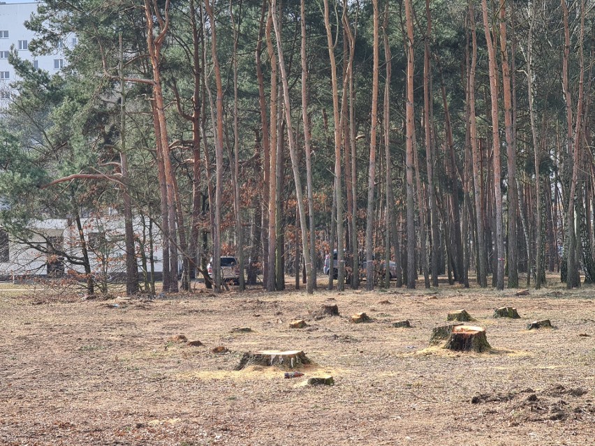 Ul. Olimpijska. Tu ma powstać jeden z parkingów park&ride