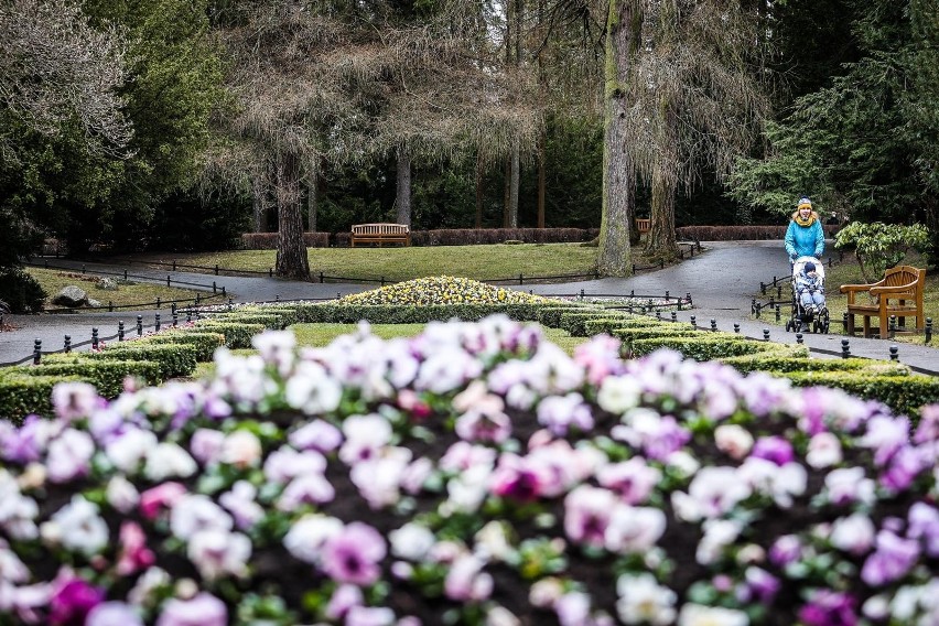 Gdańsk, Park Oliwski imienia Adama Mickiewicza