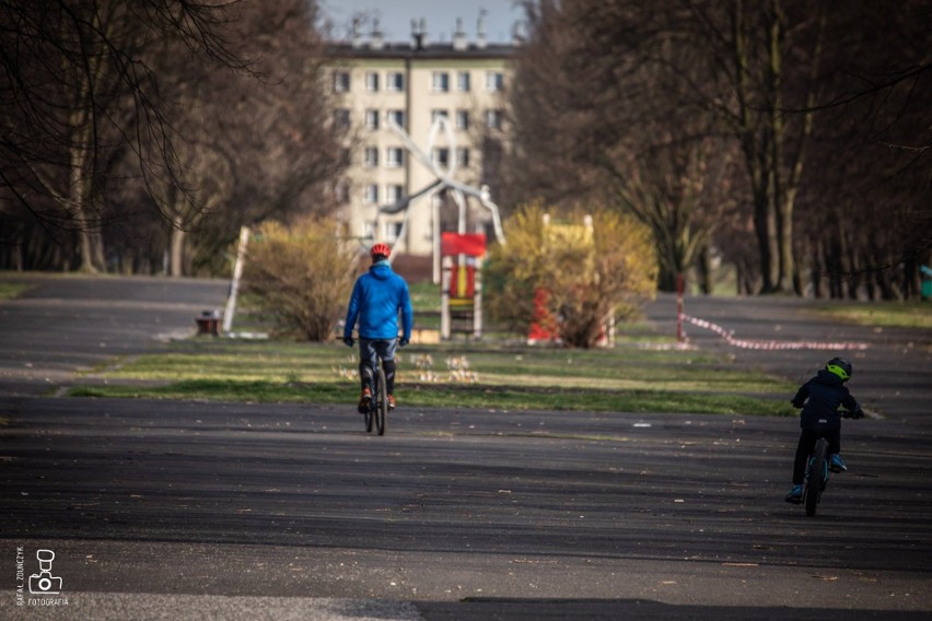 Park Śląski niemal opustoszał po informacji o stanie...