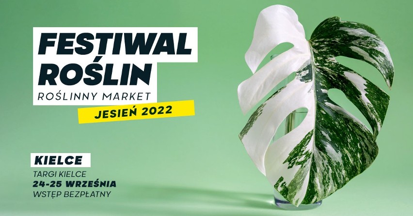 Festiwal Roślin odbędzie w Kielcach już po raz czwarty....