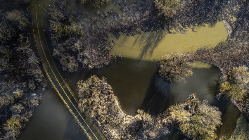 Przeprawa promowa w Czarnowie zalana przez Wisłę. Zobacz zdjęcia z drona