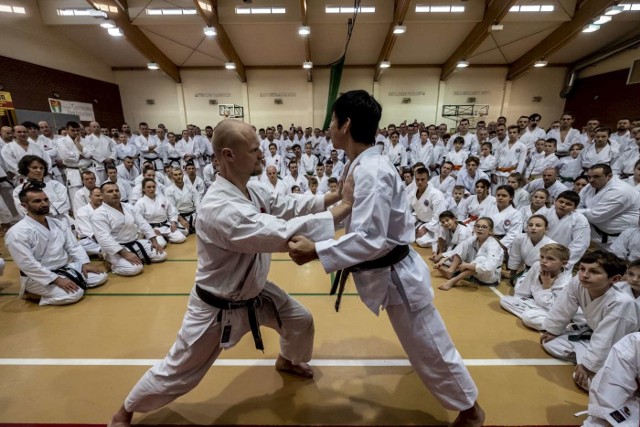 Staż techniczny w Ośrodku Sportu i Rekreacji w Baranowie poprowadził mistrz karate shotokan Naka Tatsuya. Wzięło w nim udział ponad 200 osób w różnym wieku - dorośli, młodzież i dzieci.Przejdź do kolejnego zdjęcia --->