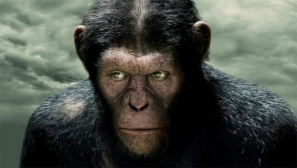 Kto ogladał "Planetę małp", zapewne skusi się na prequel serii, w kinie "Jantar"