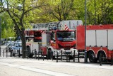 Z okazji Dnia Strażaka przez Białystok przejechała uroczysta kolumna pojazdów pożarniczych. Strażacy oddali też hołd poległym kolegom