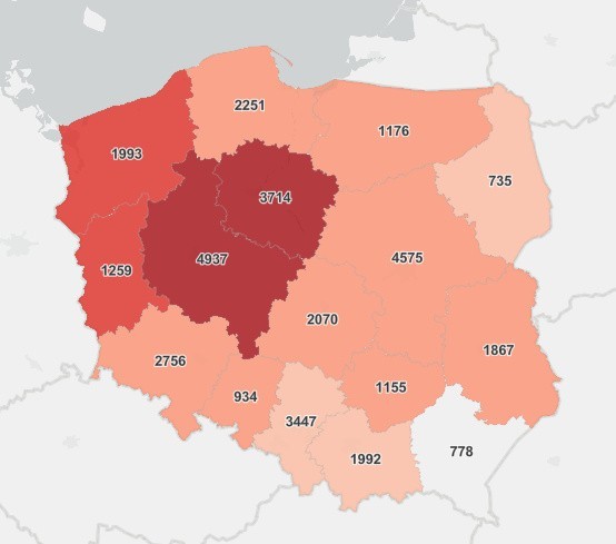 Koronawirus w Zachodniopomorskiem. Spadek zachorowań w kraju i regionie! Sprawdź najnowszy raport 