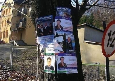 Niektórym kandydatom wyraźnie nie starcza miejsca na tablicach ogłoszeniowych... Fot. Mirosław Gawęda