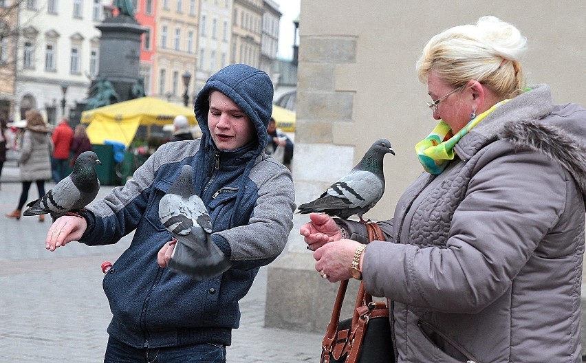 Świąteczny spacer po Rynku Głównym [ZDJĘCIA]