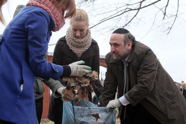 Naczelny Rabin Polski Michael Schudrich pomaga porządkować cmentarz.