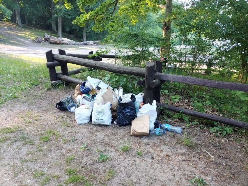 Zaśmiecone jezioro w Otominie. Odwiedzający zostawiają mnóstwo odpadów. Czy tak można wypocząć? | ZDJĘCIA