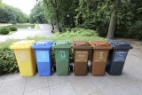 Rewolucja śmieciowa w Białymstoku. Nowe firmy, nowe zasady segregacji. Sprawdź kto odbiera śmieci w Białymstoku (lista firm)