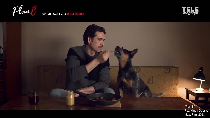 "Plan B". Marcin Dorociński zdradza jak wyglądał... casting dla psów! [WIDEO+ZDJĘCIA]