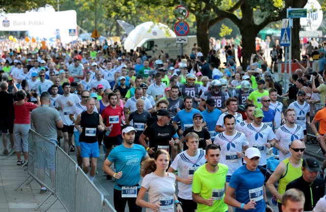 Jasne Błonia znów wypełnią się uczestnikami półmaratonu.