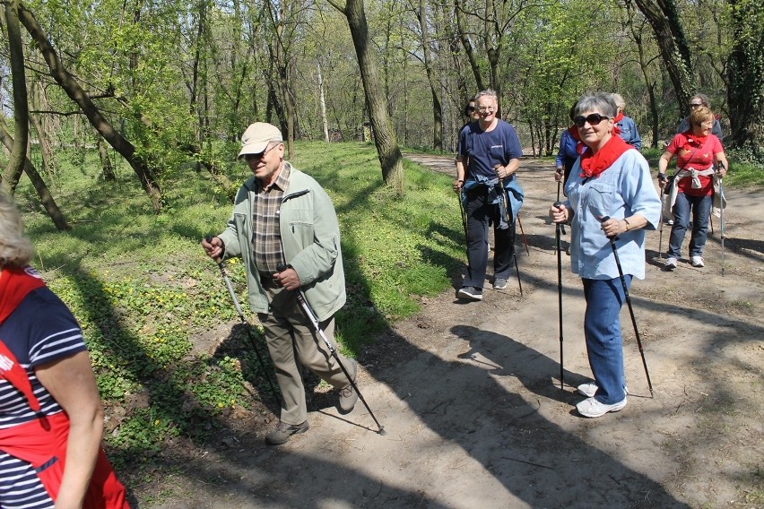 Kolejna wyprawa Nordic Walking z Tygodnikiem [Zdjęcia]