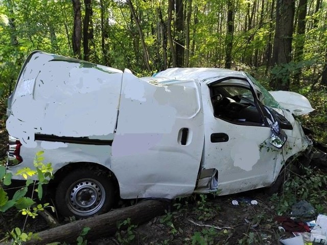 Do kraksy doszło na drodze między Witnicą, w Mosiną. 29-letni kierowca dostawczego auta wypadł z drogi.