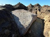 Tajemniczy głaz spod Kamienia Pomorskiego będzie dokładnie zbadany [ZDJĘCIA]