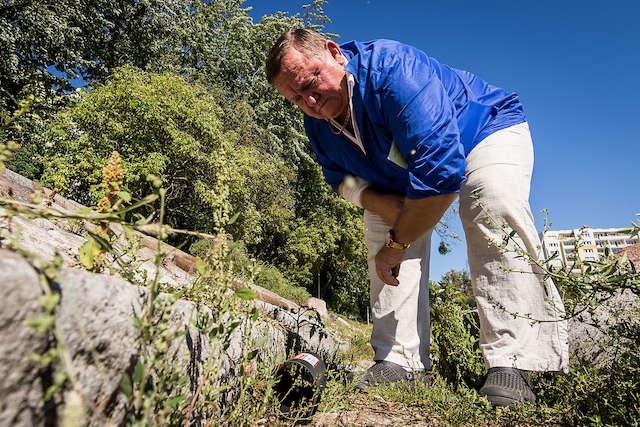 Deratyzator Jerzy Hemmerling zakłada pułapki nad bydgoskim Balatonem