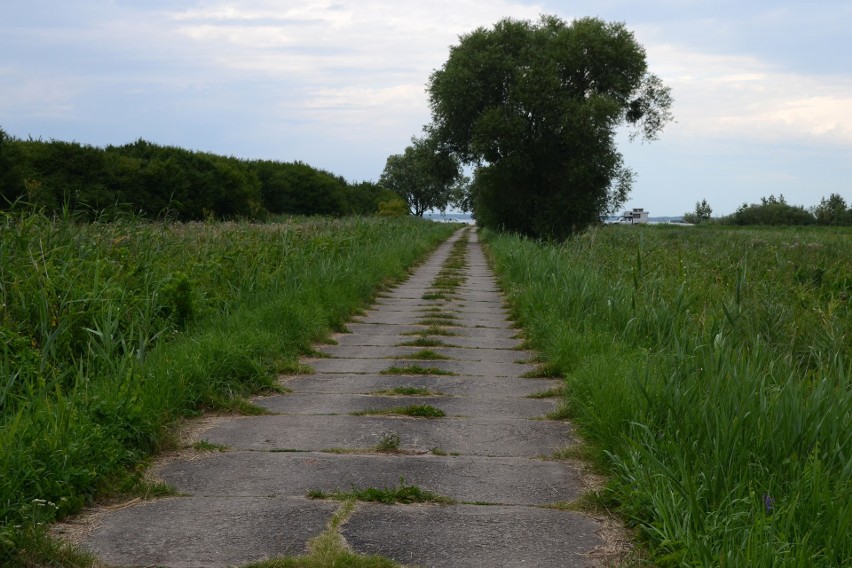 Drogi z płyt to zmora początkowego odcinka szlaku Green Velo