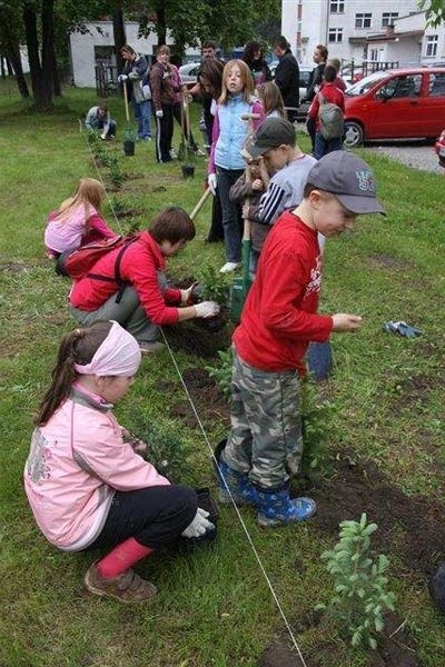 Największą frajdę miały dzieci, które pomagały w sadzeniu drzewek.