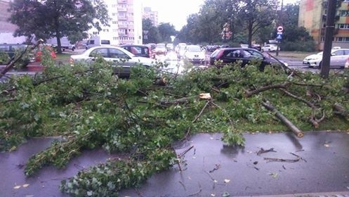 Burza w Łodzi. Nawałnica nad Łodzią. Powalone drzewa, gałęzie na drogach, zalane ulice [ZDJĘCIA]