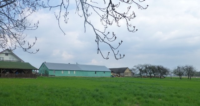 Grunty rolneJeśli wśród gruntów pozostających wśród zasobów przedsiębiorcy znajdują się grunty rolne, to mogą być one opodatkowane niższym podatkiem niż ten od nieruchomości - podatkiem rolnym.