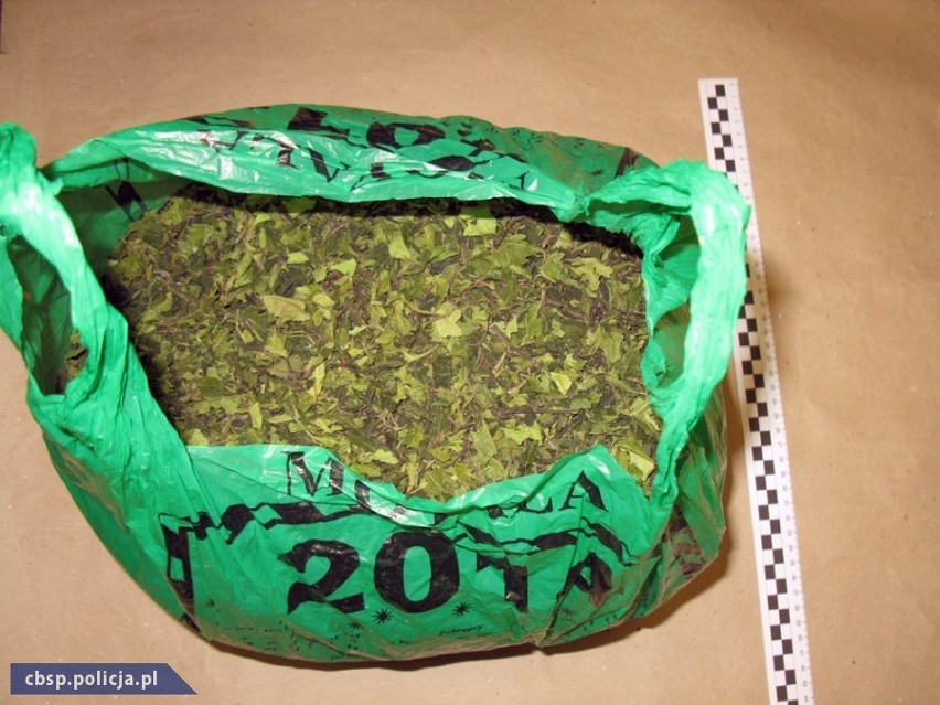 Narkotyki: Lubelskie CBŚ zatrzymało kolejny ładunek KHAT-u