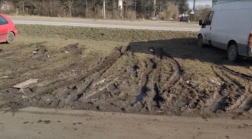 Trawnik na Jagodnie został zniszczony. Na pasie zieleni...