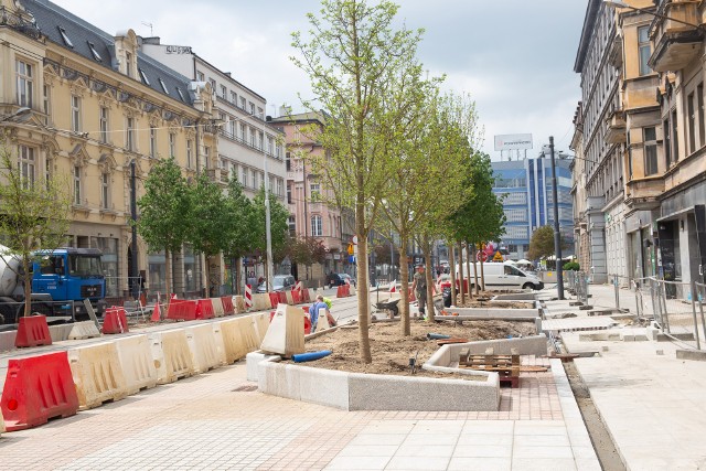Jak dotąd na ul. Warszawskiej pojawiło się już ok. 40 nowych drzew.