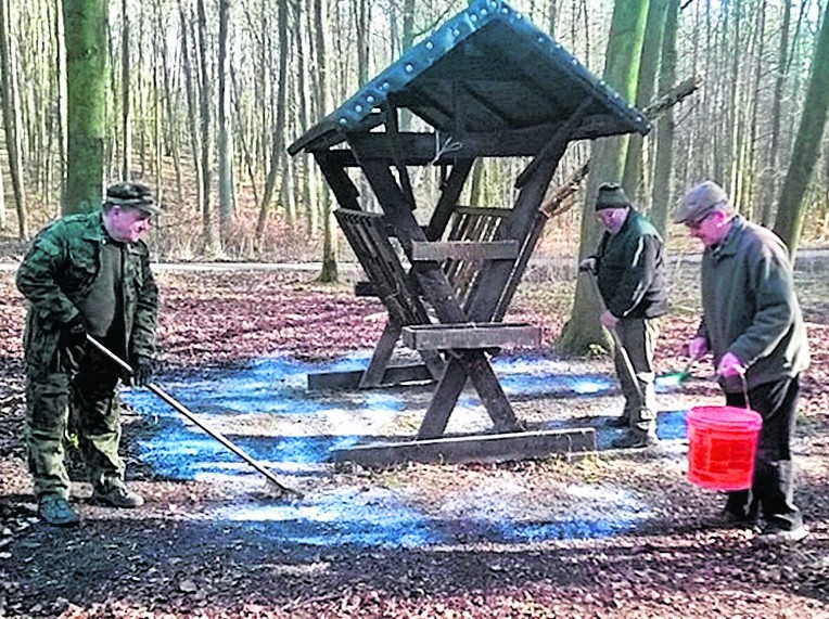 Sprzątanie zostało zainicjowane przez myśliwych ze względu...