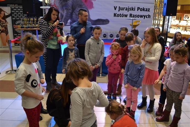 Kocie pięnoości przyjechały do Częstochowy na V Jurajski...