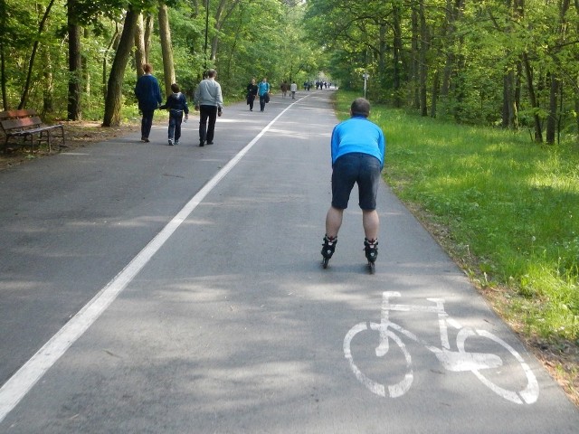 Zgodnie z przepisami rolkarz powinien jechać nie trasą rowerową, a po chodniku. Może też poruszać się ścieżką pieszo-rowerową. Nie trzeba więc tworzyć osobnych pasów dla rolkarzy