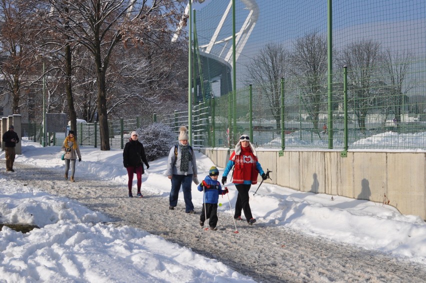 Nordic Walking z Sercem dla WOŚP 2017 w Parku Śląskim