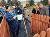 100-lecie Zespołu Szkół Centrum Kształcenia Rolniczego w Sandomierzu. Wydarzenie upamiętnił potomek dębu Bartka