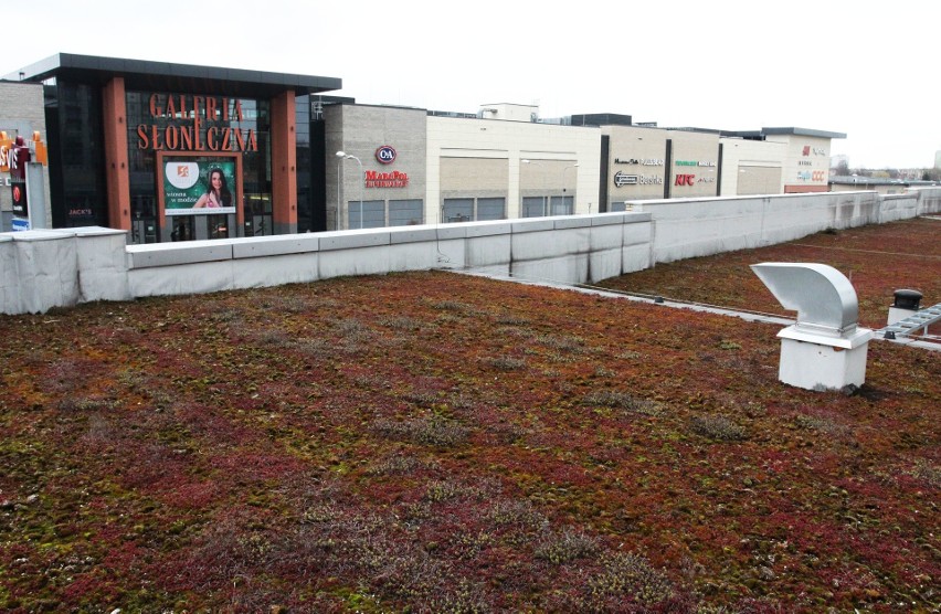 Dach zielony
Radom: ekologiczny dach na galerii Vis a Vis