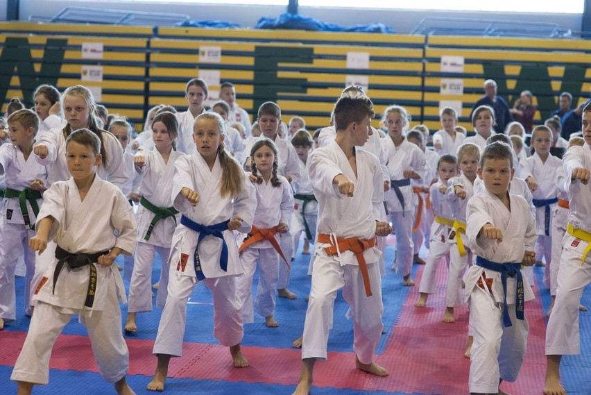 Multum medali karateków AKT Niepołomice-Kraków w Pucharze Mistrzów