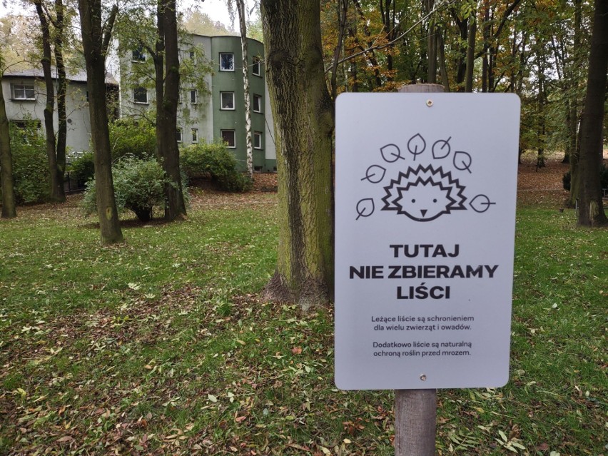 W rybnickich parkach nie zbierają i nie grabią liści. Dają w...