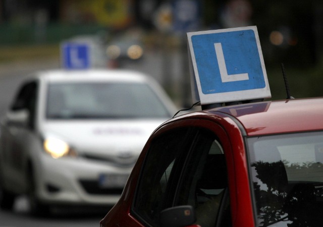 Mieszkaniec Radomska bardzo chciał zdać egzamin na prawo jazdyZobacz kolejne zdjęcia/plansze. Przesuwaj zdjęcia w prawo naciśnij strzałkę lub przycisk NASTĘPNE